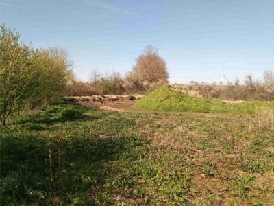 Délimitation de l'emplacement du bassin naturel.